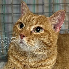 DM_5760-Hamilton-crop