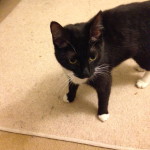 mabin2_a520408b8694b0e176e113a2d1d0add2